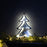 Melrose Pine Tree Outline Ekko Light Display, Set of 2, White