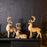 Melrose Glittered Holiday Deer Figurine, Set of 3, Beige/White