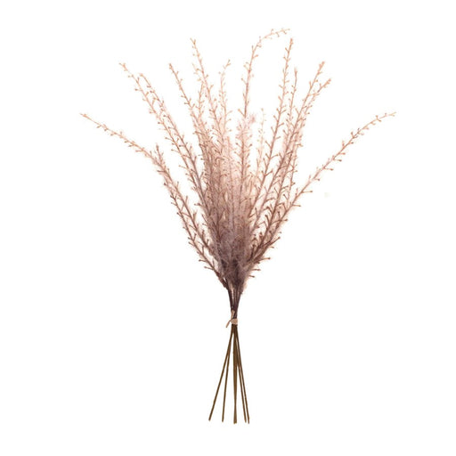 Melrose International Grass Plume Bundle, Set of 6, Brown