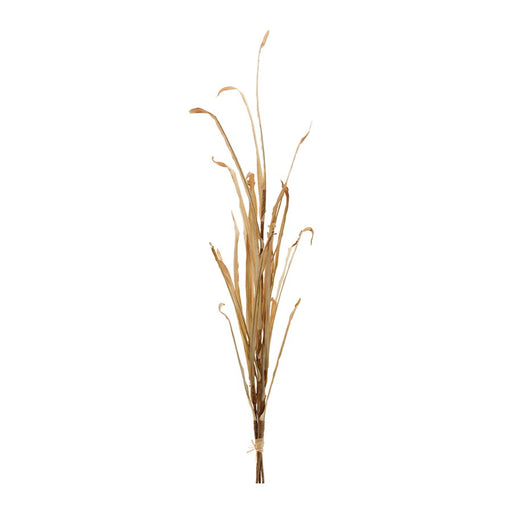 Melrose International Tall Harvest Grass Stem, Set of 2, Beige - 90956DS