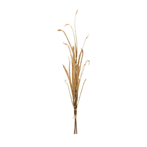 Melrose International Tall Harvest Grass Stem, Set of 2, Beige