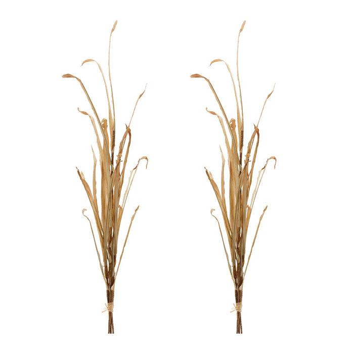 Melrose International Tall Harvest Grass Stem, Set of 2, Beige