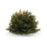 Melrose International Pine Half Orb/Pinecones, Set of 2, Green/Brown - 91247DS