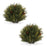 Melrose International Winter Pine Half Orb, Set of 2, Green/Brown