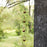 Melrose International Bird Branch Rain, Cha, 70"L, Bronze