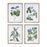 Melrose Wood Framed Floral Print, Set of 4, Blue/Green/White - 92019DS