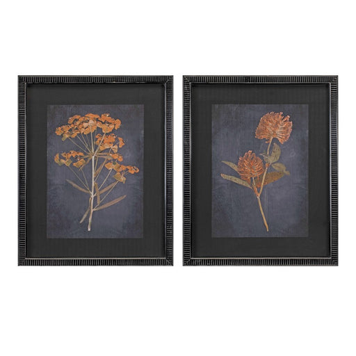 Melrose Wood Framed Botanical Print, Set of 2, Orange/Black - 92020DS