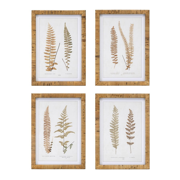 Melrose International Wood Framed Fern Print, Set of 4, Brown/White - 92021DS