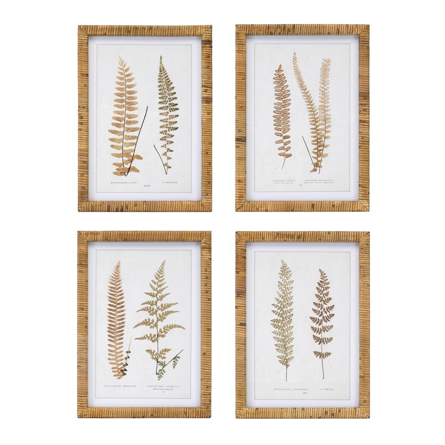 Melrose International Wood Framed Fern Print, Set of 4, Brown/White - 92021DS