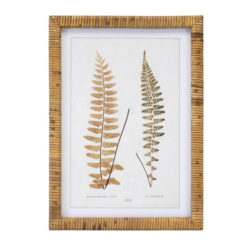 Melrose International Wood Framed Fern Print, Set of 4, Brown/White