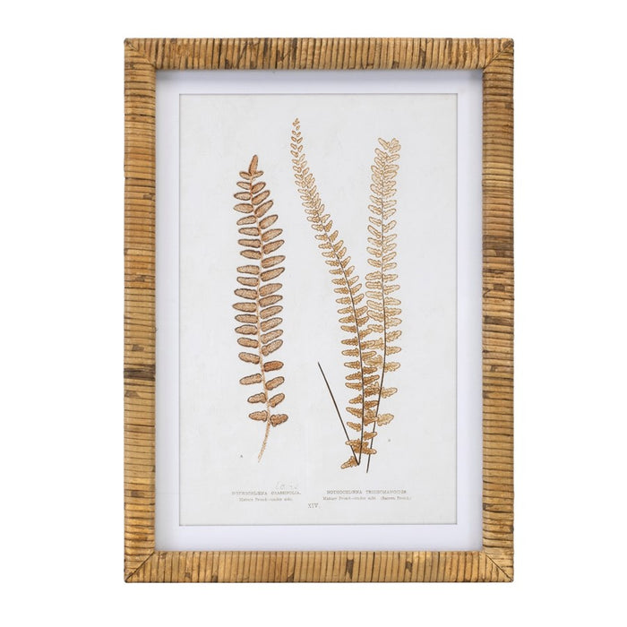 Melrose International Wood Framed Fern Print, Set of 4, Brown/White