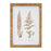 Melrose International Wood Framed Fern Print, Set of 4, Brown/White
