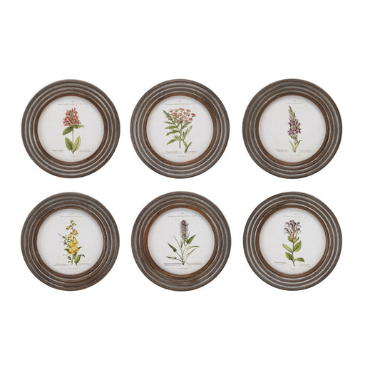 Melrose Round Framed Floral Print, Set of 6, Brown/White/Green - 92022DS