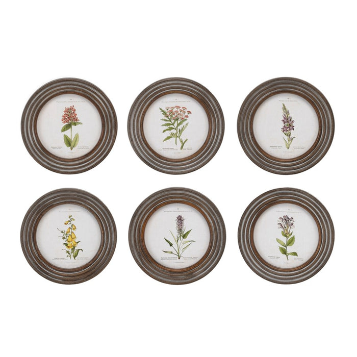 Melrose Round Framed Floral Print, Set of 6, Brown/White/Green - 92022DS