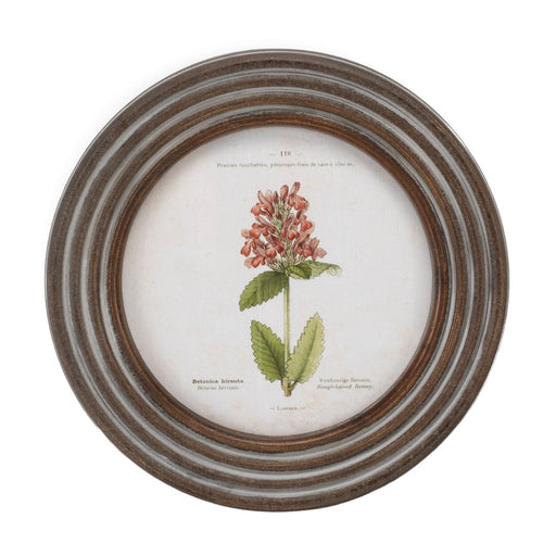 Melrose Round Framed Floral Print, Set of 6, Brown/White/Green