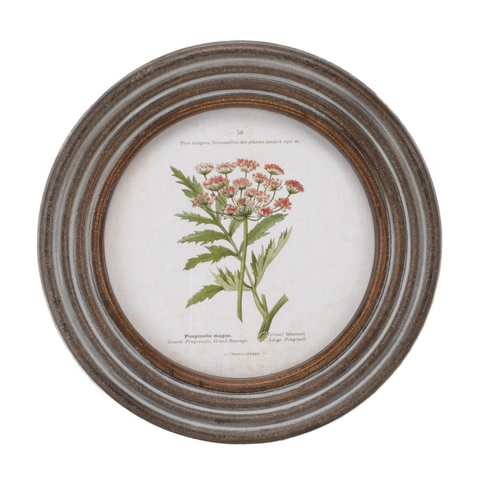 Melrose Round Framed Floral Print, Set of 6, Brown/White/Green