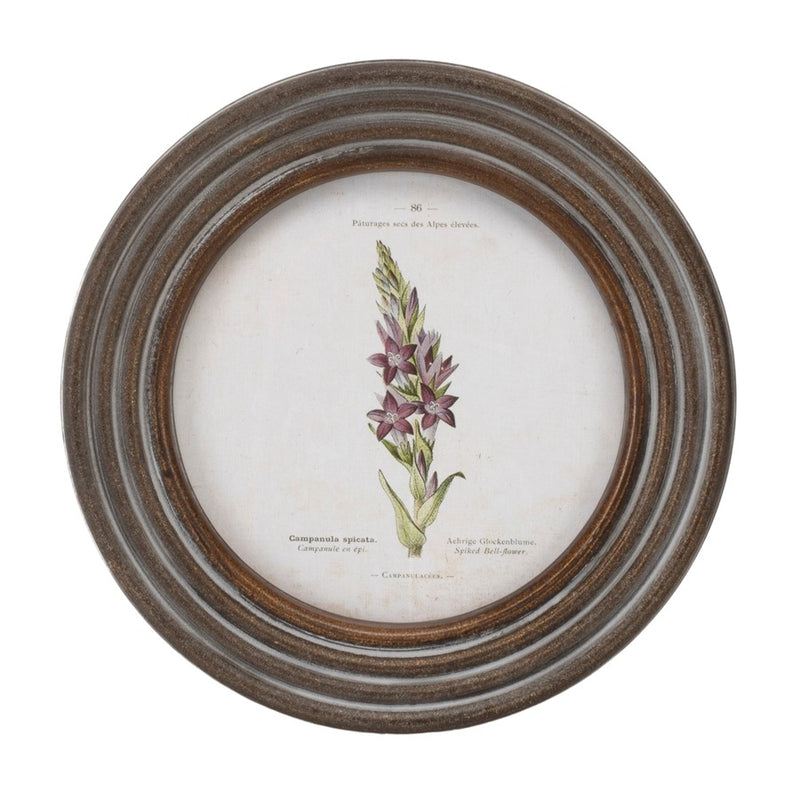 Melrose Round Framed Floral Print, Set of 6, Brown/White/Green