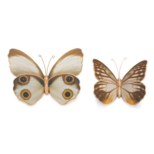 Melrose Amber Butterfly/Moth Shelf Sitter/Set of 2, White/Brown/Orange - 92075DS