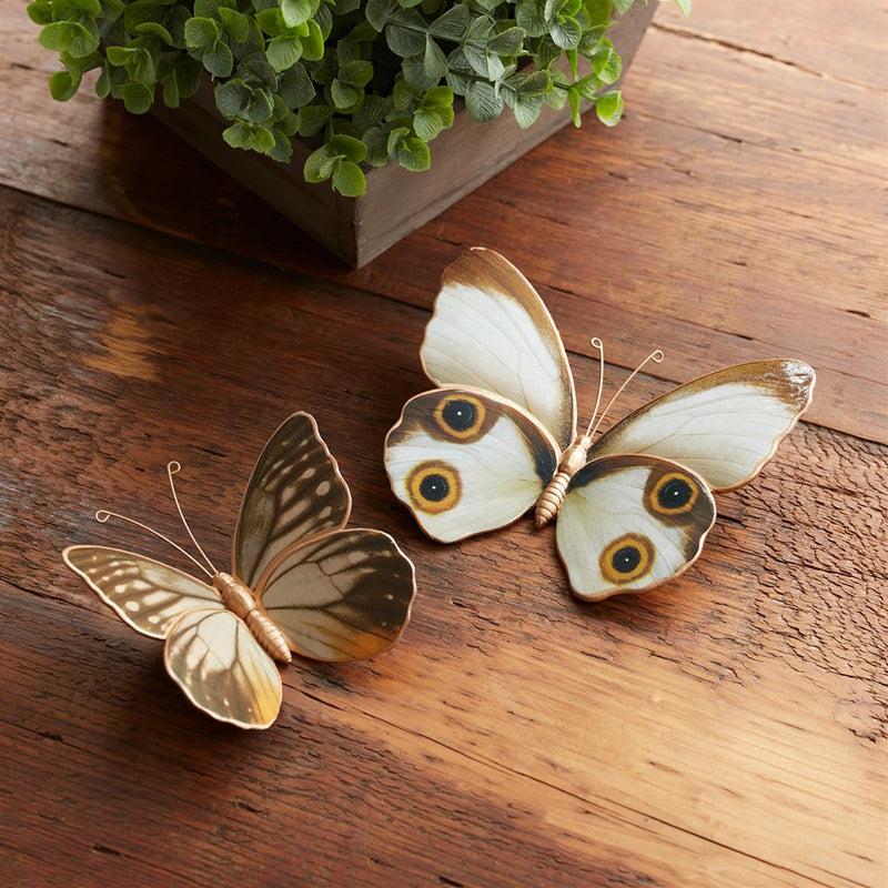 Melrose Amber Butterfly/Moth Shelf Sitter/Set of 2, White/Brown/Orange