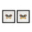 Melrose International Framed Butterfly Block, Set of 2, Black/White - 92078DS