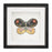 Melrose International Framed Butterfly Block, Set of 2, Black/White