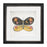 Melrose International Framed Butterfly Block, Set of 2, Black/White