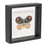 Melrose International Framed Butterfly Block, Set of 2, Black/White