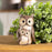 Melrose Int.land Owl/Baby Figurine, Set of 4, Brown/White