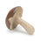 Melrose Stone Mushroom Shelf Sitter, Set of 12, Brown/Beige