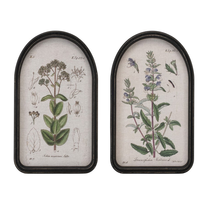 Melrose Framed Floral Arch Print, Set of 2, White/Green/Brown - 92226DS