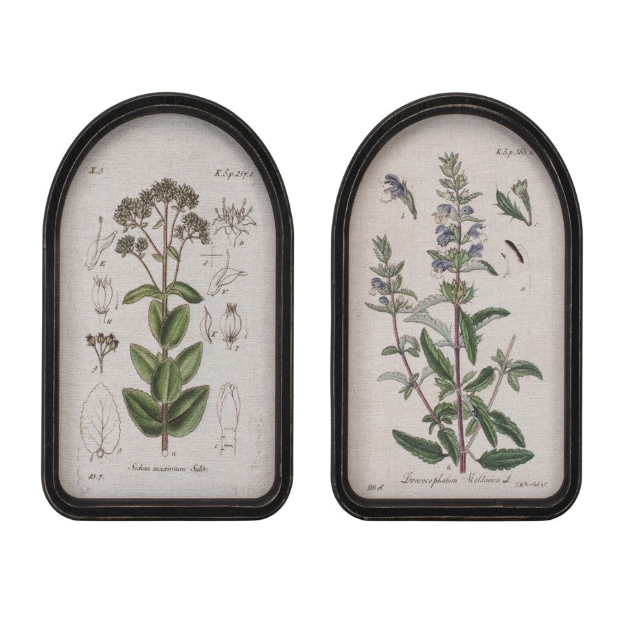 Melrose Framed Floral Arch Print, Set of 2, White/Green/Brown - 92226DS