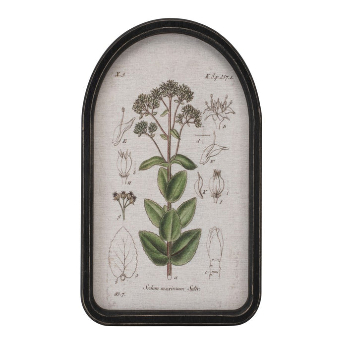 Melrose Framed Floral Arch Print, Set of 2, White/Green/Brown