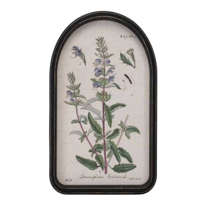 Melrose Framed Floral Arch Print, Set of 2, White/Green/Brown
