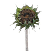 Melrose International Sunflower Stem, Set of 6, Black/Green - 92297DS