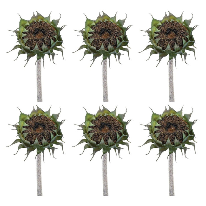 Melrose International Sunflower Stem, Set of 6, Black/Green