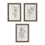 Melrose Int. Framed Floral Insect Print, Set of 3, Beige/White - 92301DS