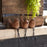 Melrose International Etched Bird Shelf Sitter, Set of 6, Brown/Black