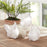 Melrose International Ceramic Chicken Decor, Set of 6, White/Beige