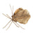 Melrose Leaf Butterfly Shelf Sitter (Set of 2), Gold