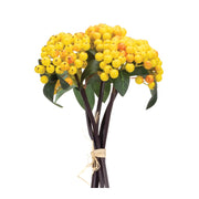 Melrose International Berry Bundle, Set of 2, Yellow/Green - 92511DS