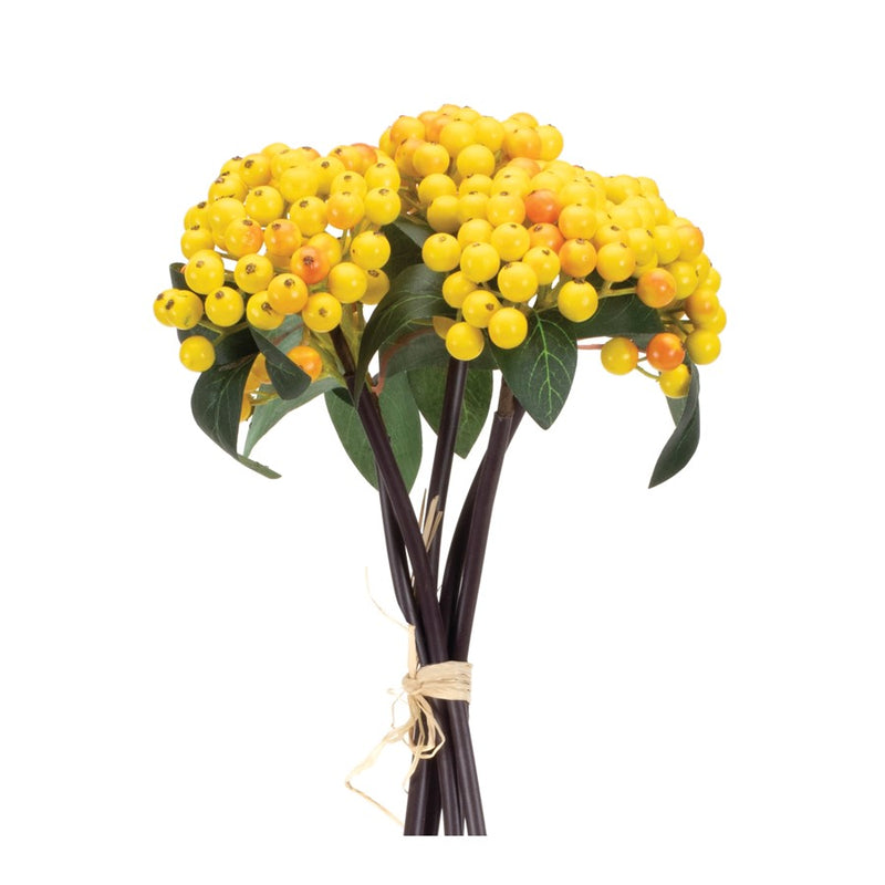 Melrose International Berry Bundle, Set of 2, Yellow/Green - 92511DS