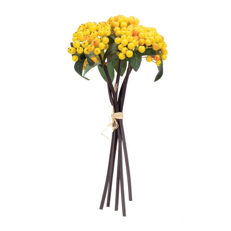 Melrose International Berry Bundle, Set of 2, Yellow/Green