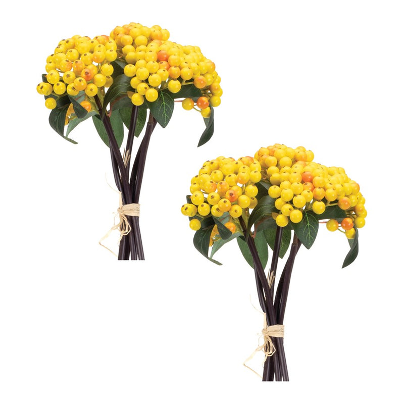 Melrose International Berry Bundle, Set of 2, Yellow/Green