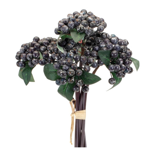 Melrose International Berry Bundle, Set of 2, Blue/Green - 92512DS