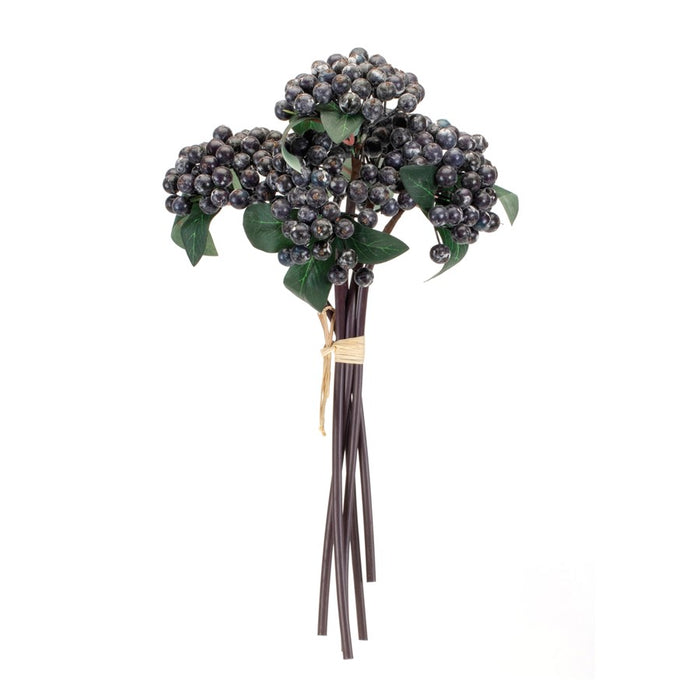 Melrose International Berry Bundle, Set of 2, Blue/Green