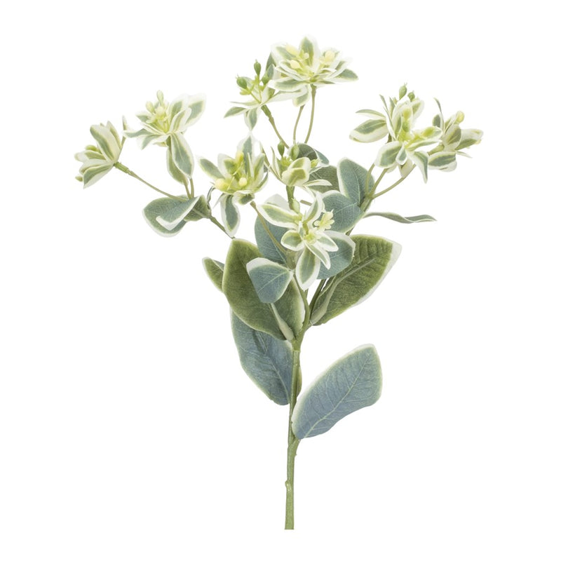 Melrose International Euphorbia Floral Stem, Set of 6, Green/White - 92583DS