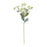 Melrose International Euphorbia Floral Stem, Set of 6, Green/White