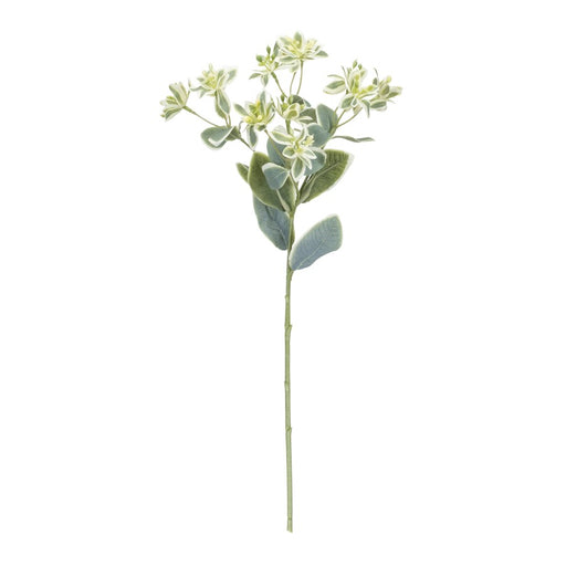 Melrose International Euphorbia Floral Stem, Set of 6, Green/White