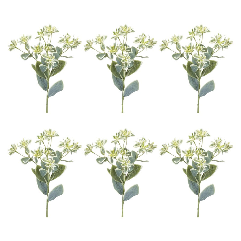 Melrose International Euphorbia Floral Stem, Set of 6, Green/White