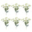 Melrose International Euphorbia Floral Stem, Set of 6, Green/White